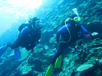 Diving in Fiji